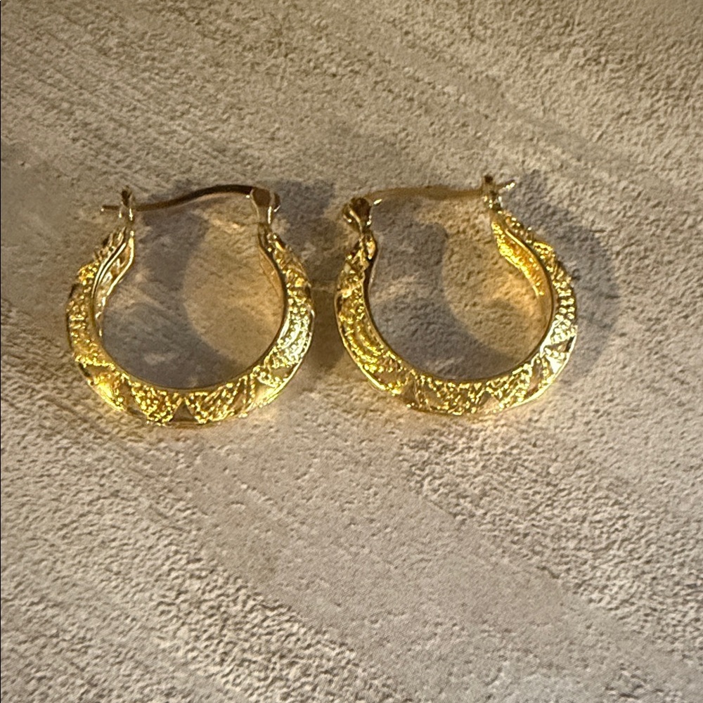 Elegant Gold Hoop Earrings